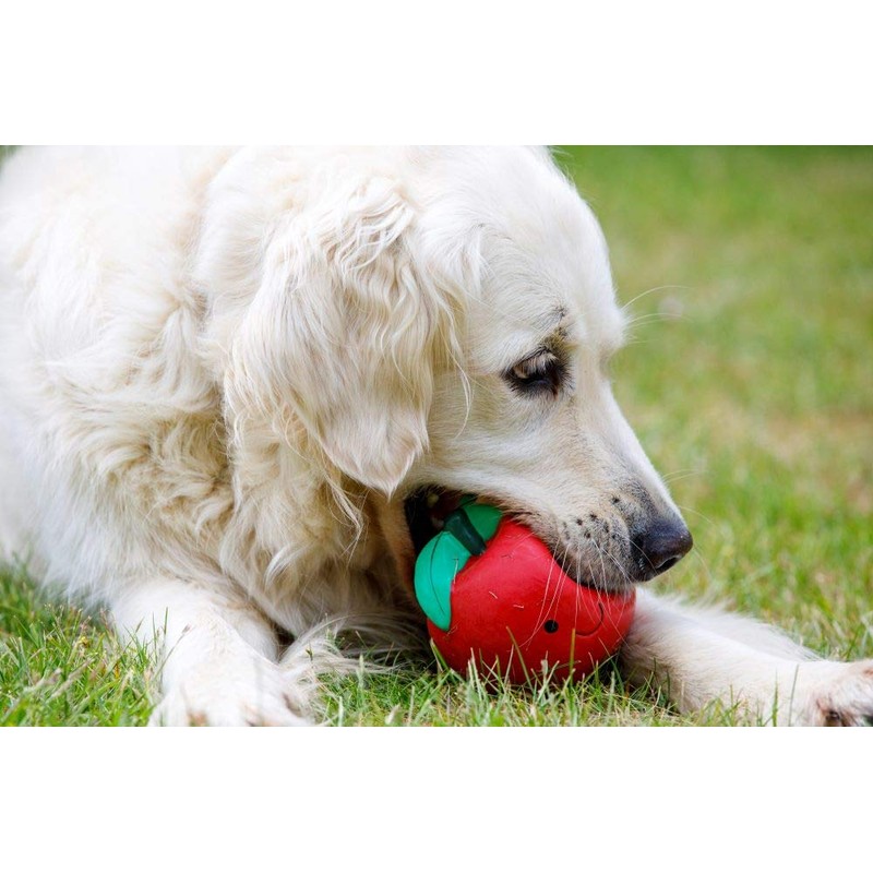 Petface Latex Tomato Soft Chew Dog Toy, Large