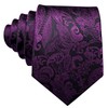 Barry.Wang Men's Silk Paisley Ties with Handkerchief Cufflink Tie Set