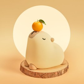 Cute Capybara Night Light for Kids & Babies,Animal Lamp,Touch Control Squishy Lamp,Non-Toxic Silicone,Funny Bedside Nursury Nightlight with Timer & Rechargeable,Baby Toddler Night Light Lamp