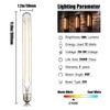 LEOOLS LED Tube Bulbs,T10 Tubular Edison Style LED Filament Bulb,