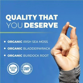NOBI NUTRITION Irish Sea Moss Capsules | With Organic Irish Moss, 300mg Burdock Root & 500mg