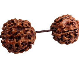 dailymall 20 mm Rudraksha Beads Tibetan Buddhism Prayer Amulet Bracelet Yoga, Rubber