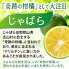 さよなら花粉生活 2個セット 奇跡の柑橘じゃばらサプリ サプリメント 甜茶 乳酸菌 亜麻仁油 (2個セット)