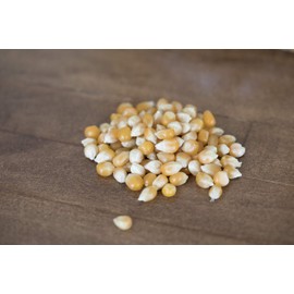 Amish Country Popcorn | 6 lb Bag | Extra Large Caramel Type Popcorn Kernels | Old Fashioned, Non-GMO and Gluten Free (Extra Large Caramel - 6 lb Bag)