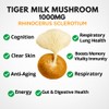 Tiger Milk Mushroom 1000mg Rhinocerus Sclerotium Cognition, Histamine, Respiratory Lung