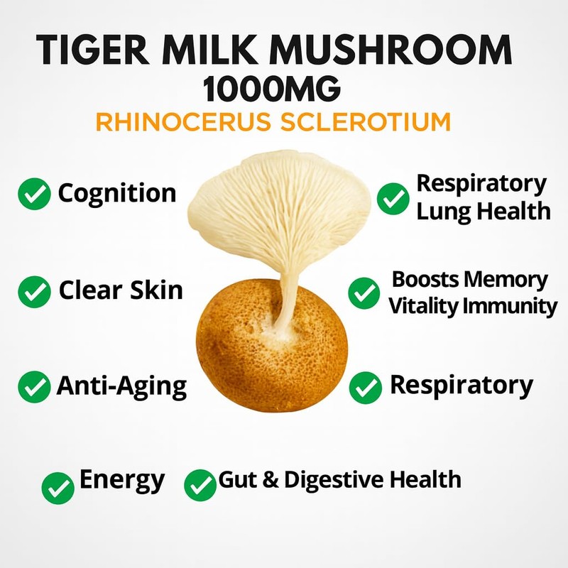 Tiger Milk Mushroom 1000mg Rhinocerus Sclerotium Cognition, Histamine, Respiratory Lung