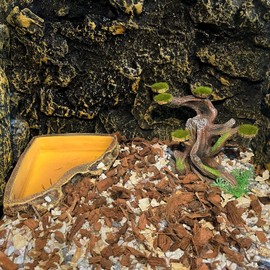 Reptile Decor Aquarium Decorations Artificial Moss Resin Fish Tank Rocks Simulation Hollow Tree Leopard Gecko Trunk Accessories Aquarium View(Small)