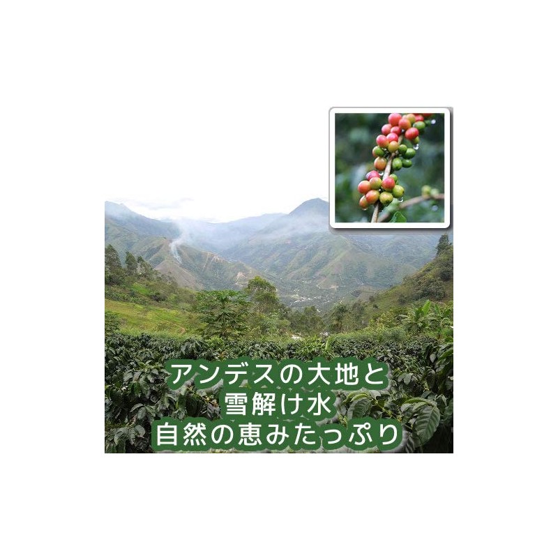Coffee Beans, Freshly Roasted Machu Picchu Sky (Peru), No Pesticides,