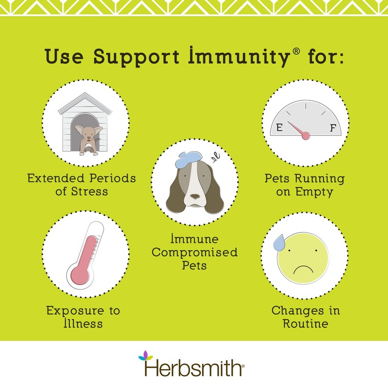 Herbsmith, Immune Support - 75g Powder