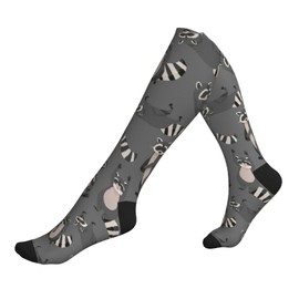 Cute Raccoon Grey Compression Socks Women And Men For Nurses Travel Pregnancy Recovery Running Athletic