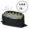 GREEN LIFE TROC-8070(BKIBO Folding Delivery Box for Condos Individual Homes