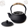 HwaGui - Mini Cast Iron Teapot with Infuser Small Tetsubin