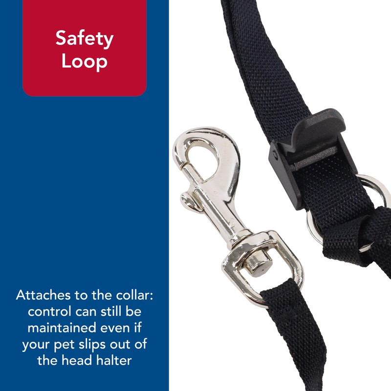 Coastal Walk'n Train Cabeza Halter, Negro, Mediano