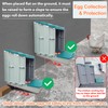 Nesting Boxes for Chicken Coop, Chicken Laying Boxes with Egg