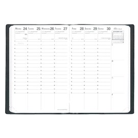 Quobadis qv66305ro Diary (Begins April 2025) Diary "Business 4/Soho" (Weekly Vertical A6 Variant Size, 3.9 x 5.9 inches (10 x 15 cm), Rose