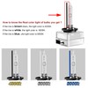 Win Power D-Series Xenon Lamp HID Conversion Kit (Pack of