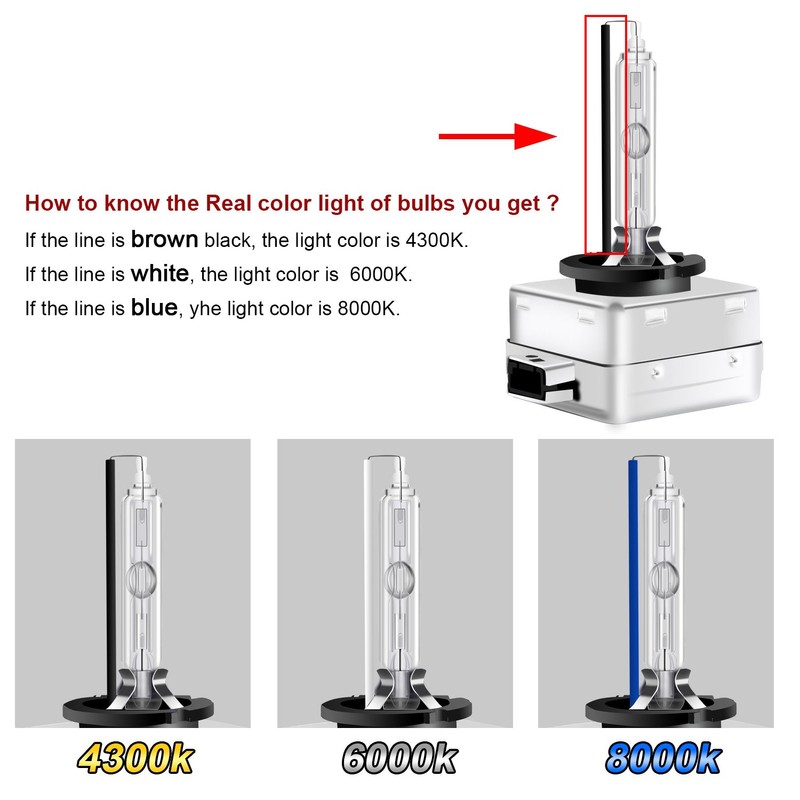 Win Power D-Series Xenon Lamp HID Conversion Kit (Pack of