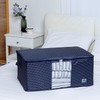 Day and Day Living Box 100L, 160L No-Wire Collection, Crystal