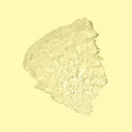 Sun Bum Protector Solar Transparente Spf 50 Para Niños | Apl