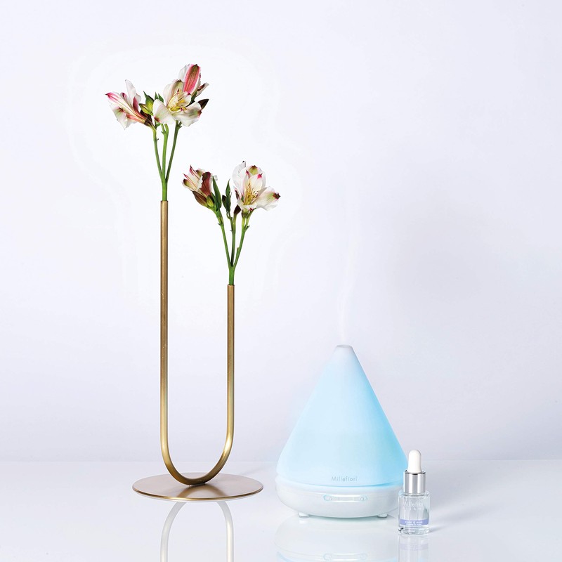 Millefiori,7FIMW,Fleur AA8de Magnolia& Bois Duftöl,Glas, klar, 15ml