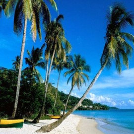 CARIBBEAN DREAM FRAGRANCE OIL - 4 OZ - FOR CANDLE & SOAP MAKING BY VIRGINIA CANDLE SUPPLY - FREE S&H IN USA