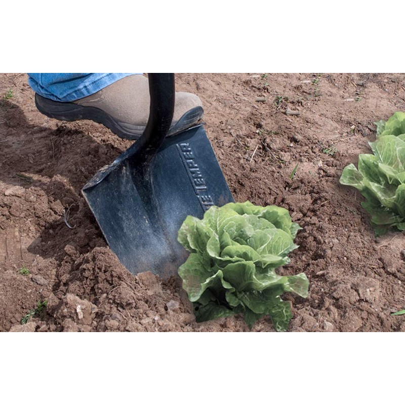 True Temper 2585600 Round Point Forged Shovel with Hardwood Handle