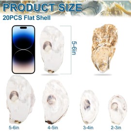 20PCS Flat Oyster Shells 5"-6" Extra Large Oyster Shells for Crafts Natural Oyster Shells BulkColor: 4-5 inch, Size: 5-6 inch | 20pcs