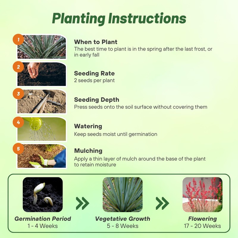 Outsidepride Red Yucca Seeds for Planting - 50 Pcs Drought