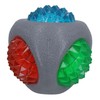 AB Tools Dog Puppy Catch and Flash Ball for Dogs