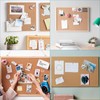 Transparent drawing pins, pack of 200, rice tacks with head,