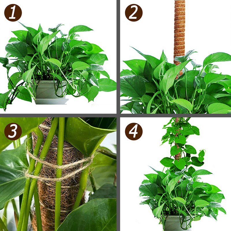 48 Inch Moss Pole, Bendable Moss Pole for Plants Monstera,