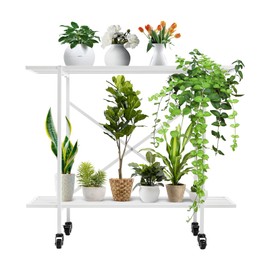 Metal Plant Stand 2 Tier Potted Multiple Flower Pot Holder Plant Shelf Indoor and Outdoor,L35 xW 8.6 x H30 inch,Heavy Duty Planter Display Shelving Unit for Patio Garden Corner(White - With Pulleys)