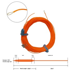Aventik Fly Fishing Line Weight Forward Floating Fly Line With Exposed Loop Line ID (Orange, 7F)