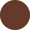 PREANFA PREGEL Muse Color Gel Clear Brown 211 0.1 oz