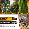 16-Inch DWZCSB16 Chainsaw Guide Bar and DWO1DT616T Saw Chains Combo