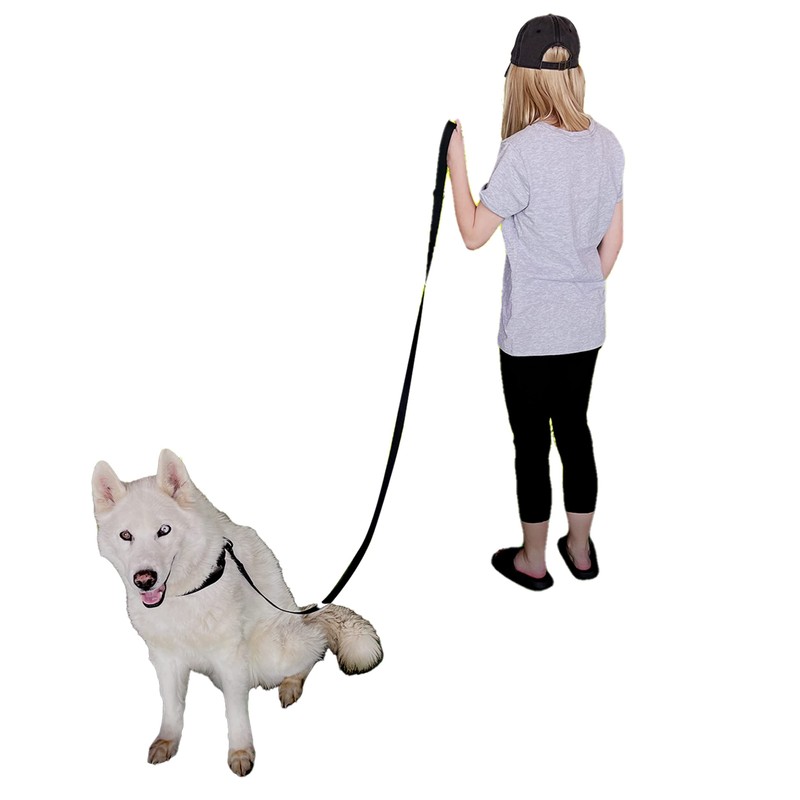 LiLe Waterproof Collar and Leash (Large)