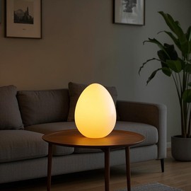 Mr.Go 11-Inch LED Egg Lamp with Remote - Color-Changing, Cordless, Waterproof, Rechargeable Night Light Mood Lighting - 16 RGB Colors, 4 Modes, Dimmable - Great as Table Centerpiece or Room Decoration