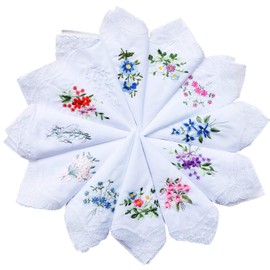 La closure Cotton Embroidered Ladies Lace Handkerchiefs 6 Pieces