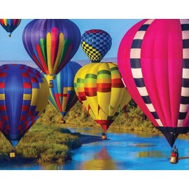 Springbok's 1000 Piece Jigsaw Puzzle Take Flight, Multi