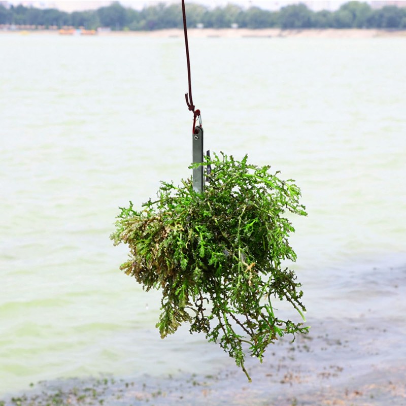 Aquatic Plants Grass Cutter with 15m Paracord Weed Puller Aquatic