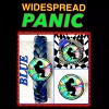 WIDESPREAD PANIC ARTWORK SET BRACELET NECKLACEPIN