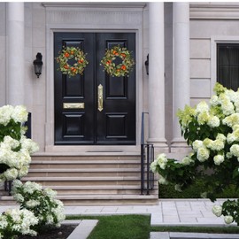 Quixem Spring Wreath Artificial Carrot Eucalyptus Wreath 22IN, Orange Green White, Spring Easter Summer Front Door Wall Decor