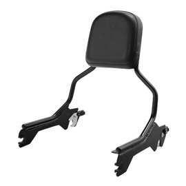 TCT-MOTORPARTS Upright Sissy Bar Backrest Luggage Rack Fit For Harley Fat Boy Breakout FLFB, FLFBS, FXBR AND FXBRS models 2018-2025 Black