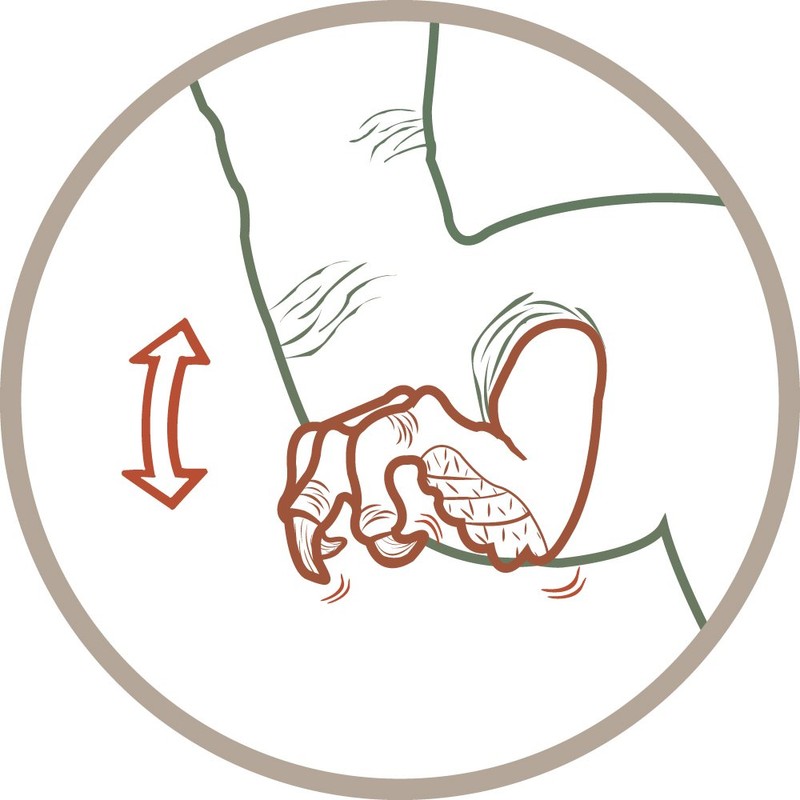 Schleich Velociraptor Action Figure (Green)