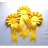 10 X Mixed Blank Rosettes Quality 1 Tier Rosettes Celebration