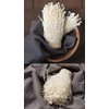Organic Natural Pure Enoki Mushroom (flammulina velutipes) Enokitake Dried Bulk