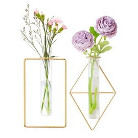 2 Pack Gold Wall Flower Vases,Gold Geometric Metal Frame Clear Glass Tube Bud Vase Hydroponic Plants(gold 9)