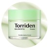 Torriden Balanceful Cica Cream 80ml