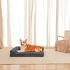 Rainmr Dog Beds for Small Dogs - Washable Pet Bed