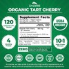 Zazzee USDA Organic Tart Cherry 10:1 Extract, 120 Vegan Capsules,